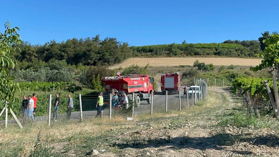 Sakarya'da orman yangını - Resim: 18